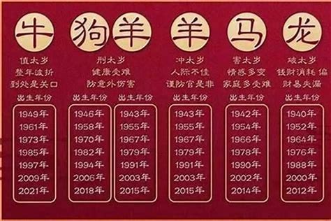 2023年是什么命|2023年属什么生肖 2023年属什么生肖什么命